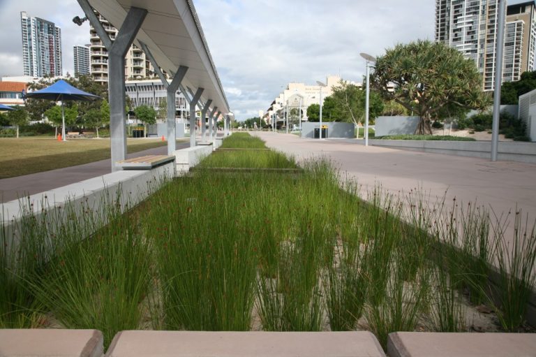 Water-Sensitive Urban Design: How Storm-Water Systems Are Turning Into City Parks