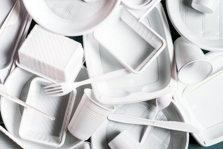 Disposable Tableware and the Environment: Convenience That Nature Pays For